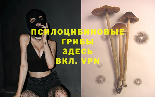 PSILOCYBIN Карталы