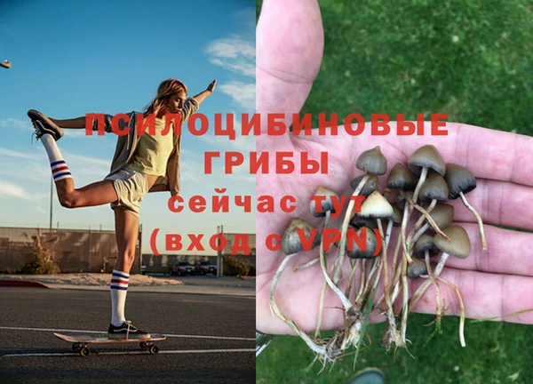 мескалин Карпинск