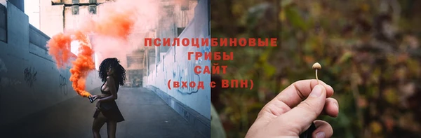 ALPHA PVP Кинешма