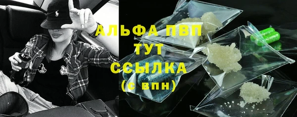 PSILOCYBIN Карталы