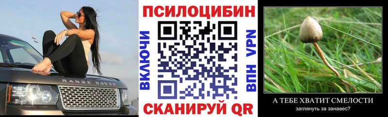 кракен сайт  Ленинск-Кузнецкий  Псилоцибиновые грибы Psilocybine cubensis 