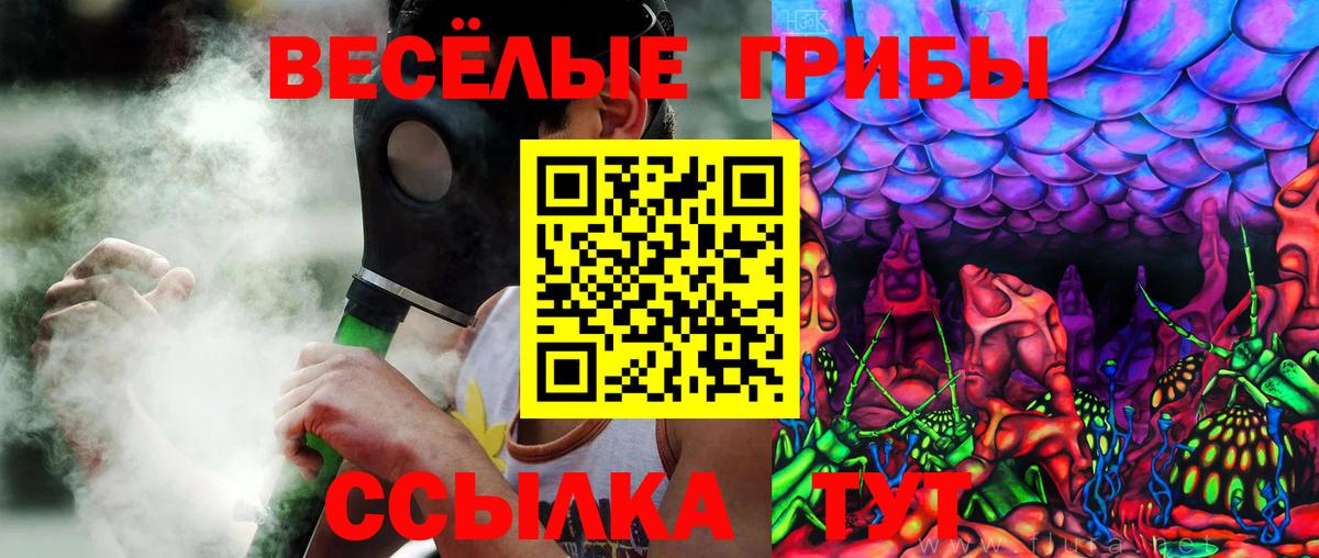 Псилоцибиновые грибы ЛСД  Псилоцибиновые грибы Magic Shrooms  Вход с VPN  Ленинск-Кузнецкий 
